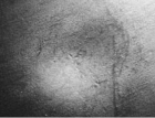 Tȱ6- s ճģ w߅113 (1684)