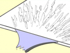 \Ͻ(dng)ȱݵJ(rn)R(sh)Ϳƣ130 (1632)