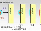 ÓģͿg(sh)315 (943)